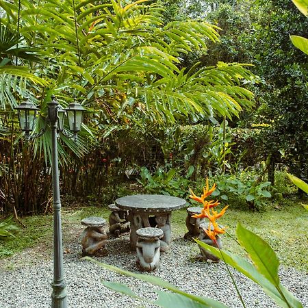 Pura Vida Vegana Hotel Cahuita Bagian luar foto