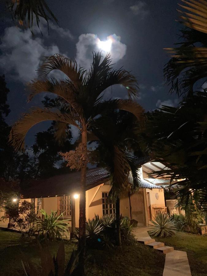Pura Vida Vegana Hotel Cahuita Bagian luar foto
