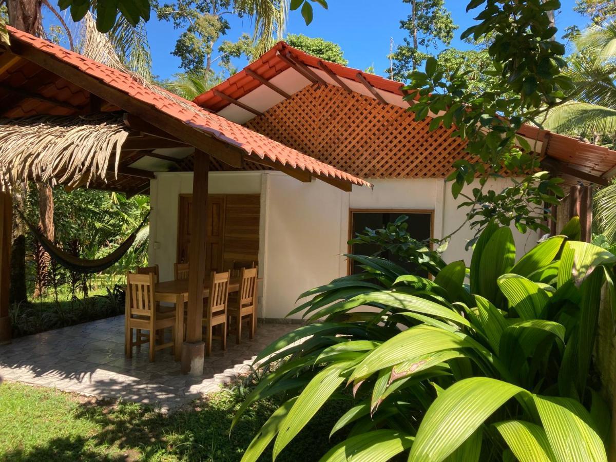 Pura Vida Vegana Hotel Cahuita Bagian luar foto