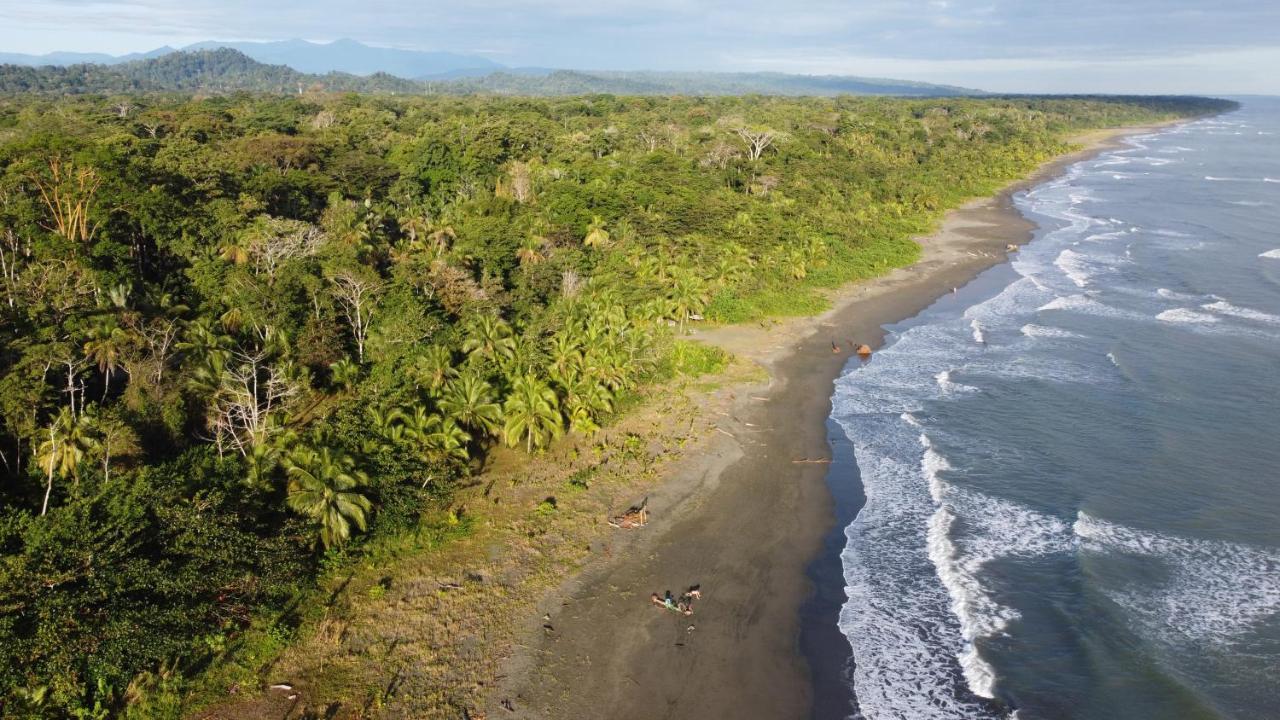 Pura Vida Vegana Hotel Cahuita Bagian luar foto