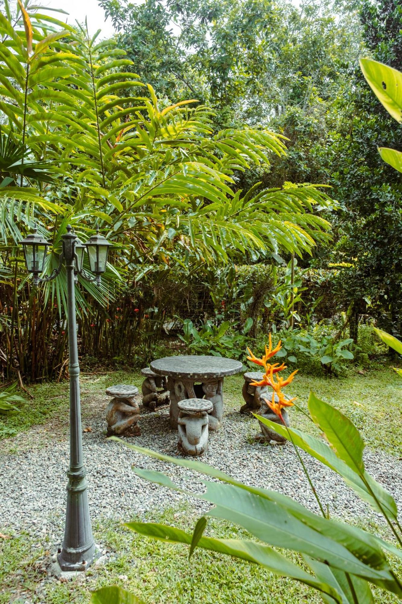 Pura Vida Vegana Hotel Cahuita Bagian luar foto